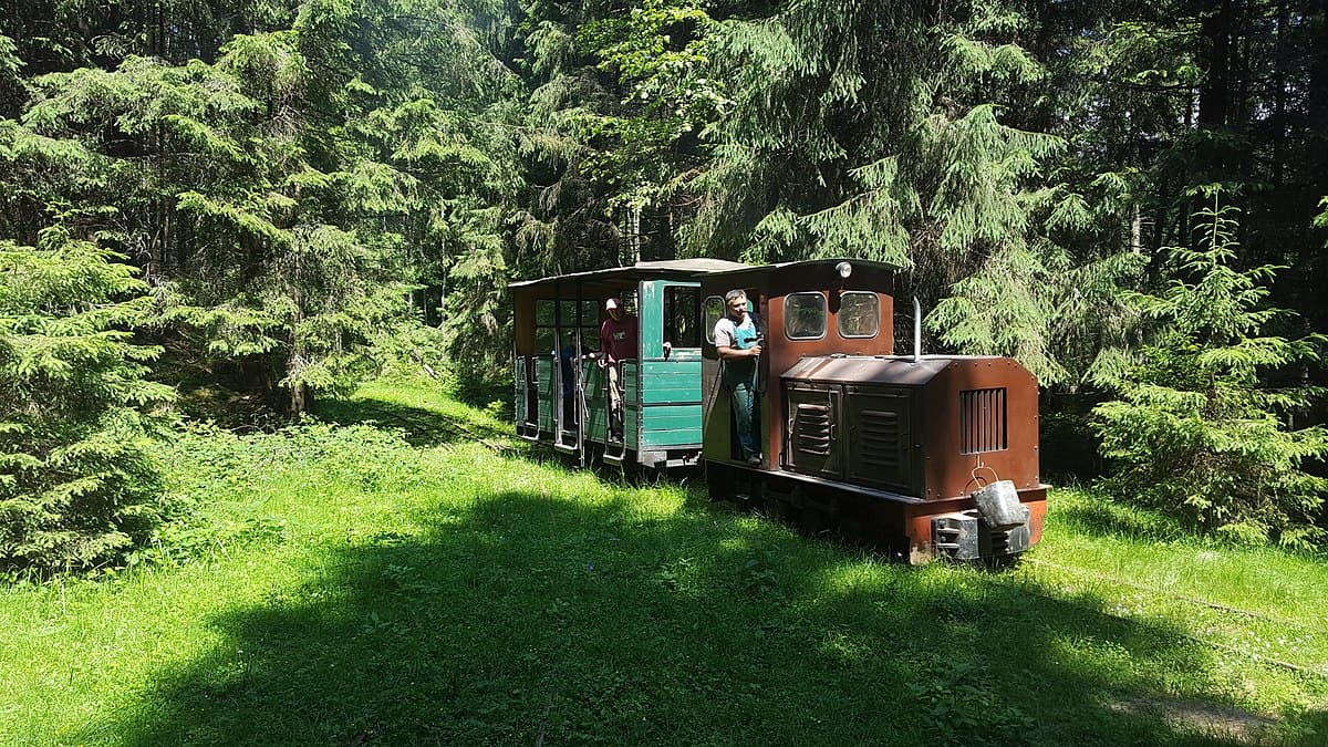 Local authorities take over historic narrow-gauge railway in central Romania