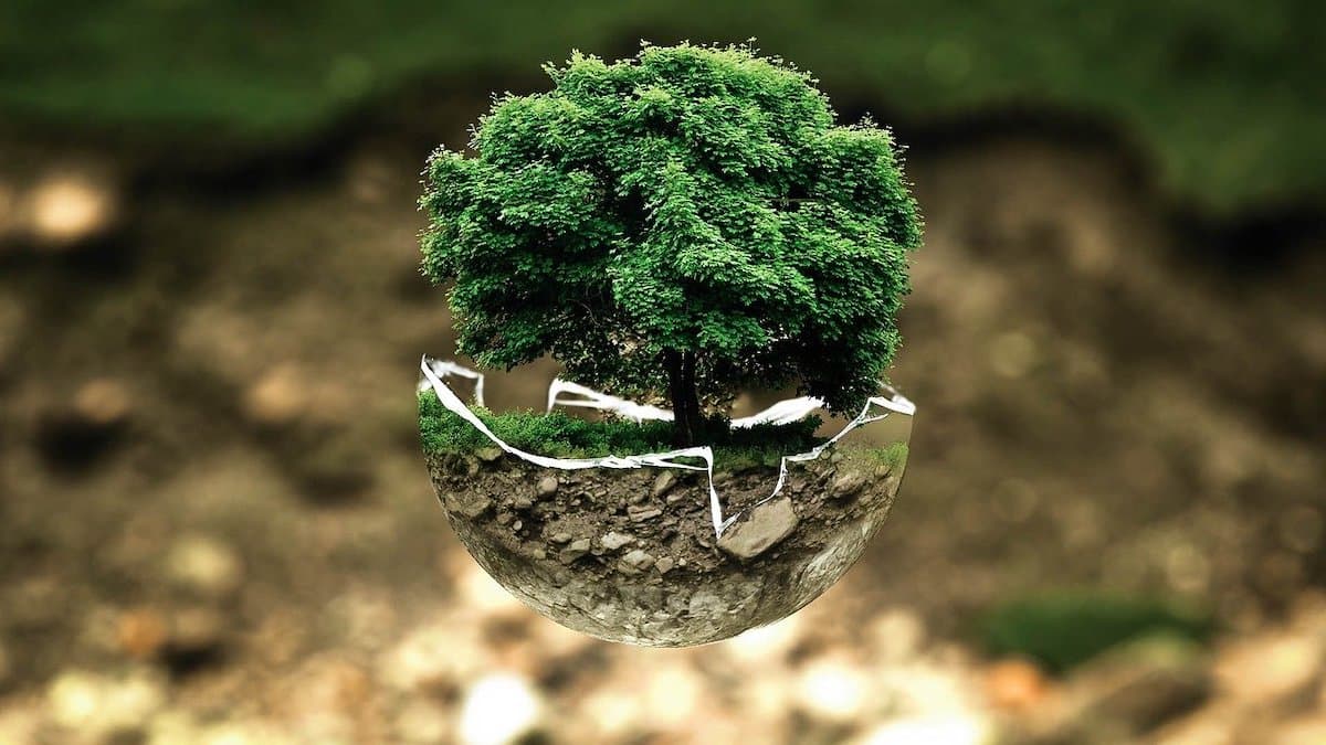 RO to earmark more Recovery and Resilience money for green and digitization projects