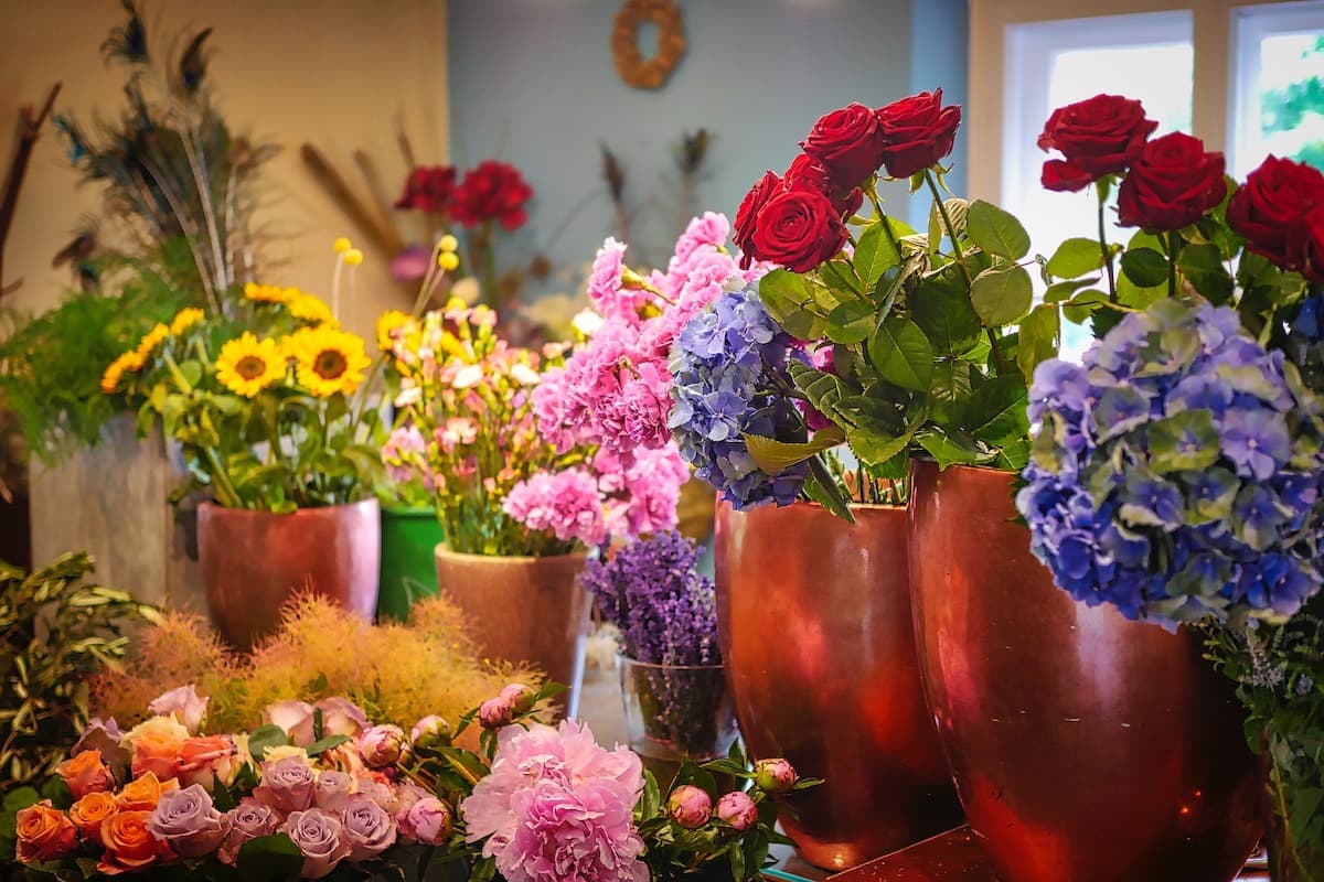 Romania’s flower market to grow by 15% this year