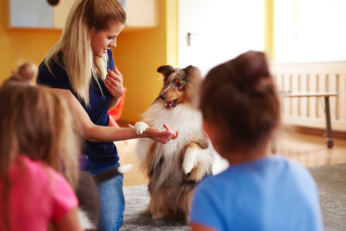 First animal-assisted therapy clinic in Romania opens in Cluj-Napoca