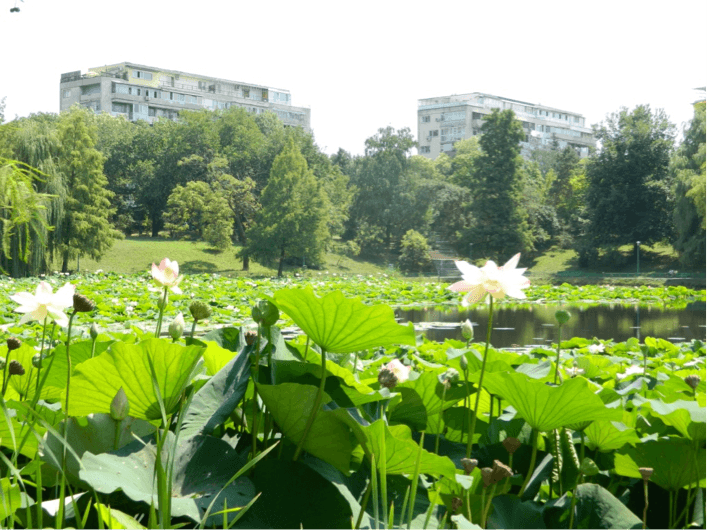 "Destination: Bucharest" - Things to try this summer