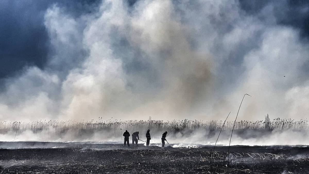 Spike in Bucharest air pollution linked to vegetation fire at former pig farm near the capital city