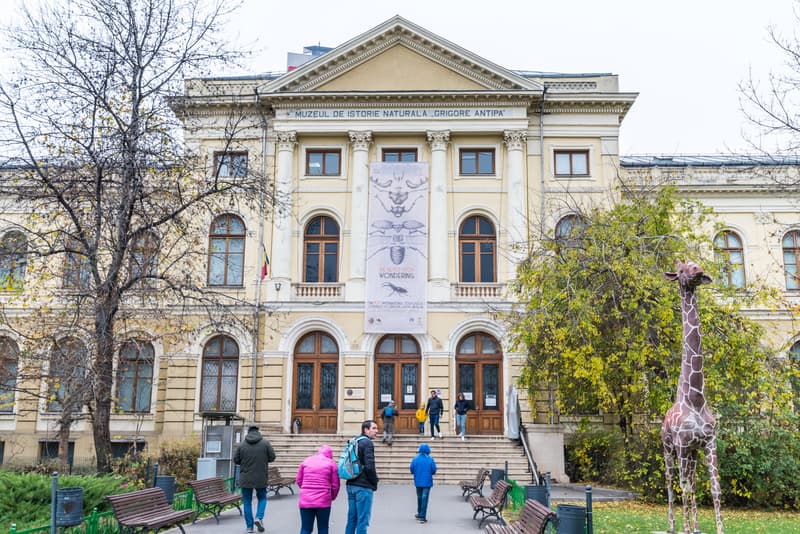 Natural history museum in Bucharest reopens on June 1