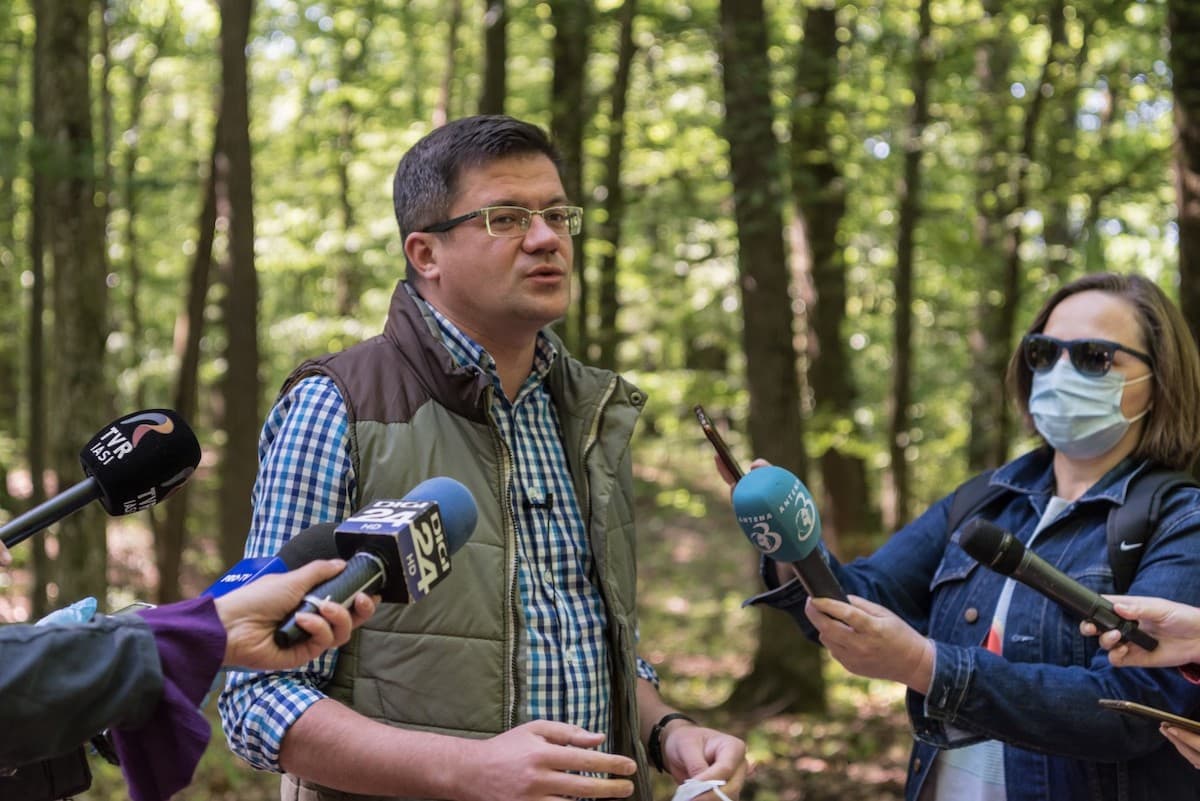 Secular forests in Romania will be protected by law, environment minister says