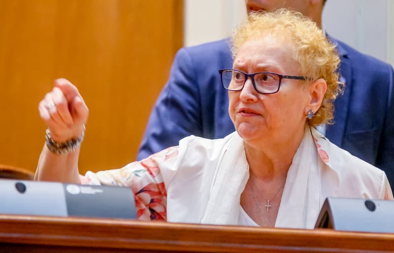 Romania’s Ombudsman refers government’s public administration bill to Constitutional Court
