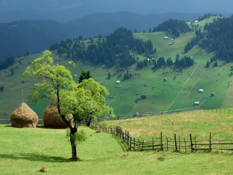 Rural destinations for an idyllic holiday in Romania