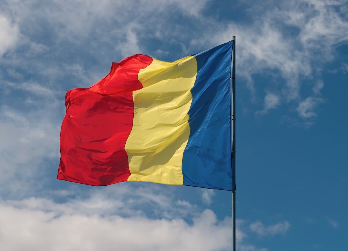 Romanian Language Day celebrated online this year
