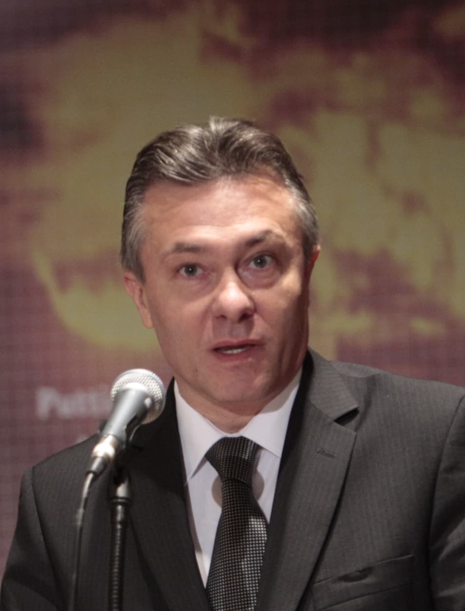 Romanian runs for OSCE Secretary General