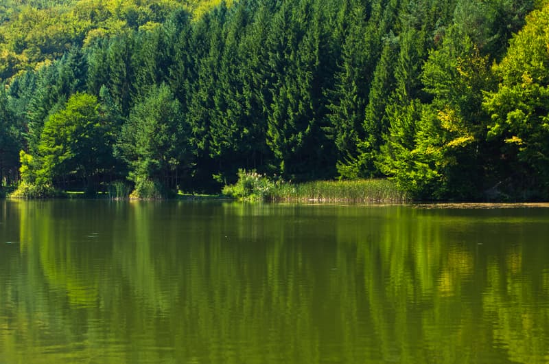 Travel planner: Caras-Severin, the amazing area where the Danube enters Romania