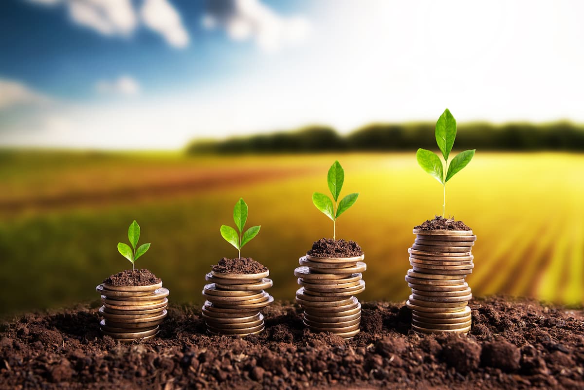EBRD gives EUR 20 mln loan to Romanian farm lender Agricover IFN