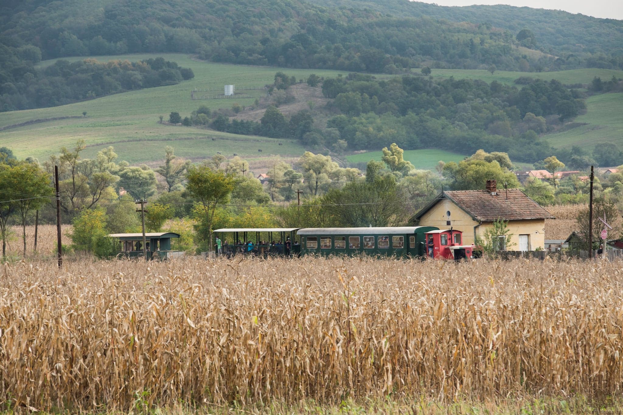 NGO to purchase locomotive for historic narrow-gauge railway in central Romania