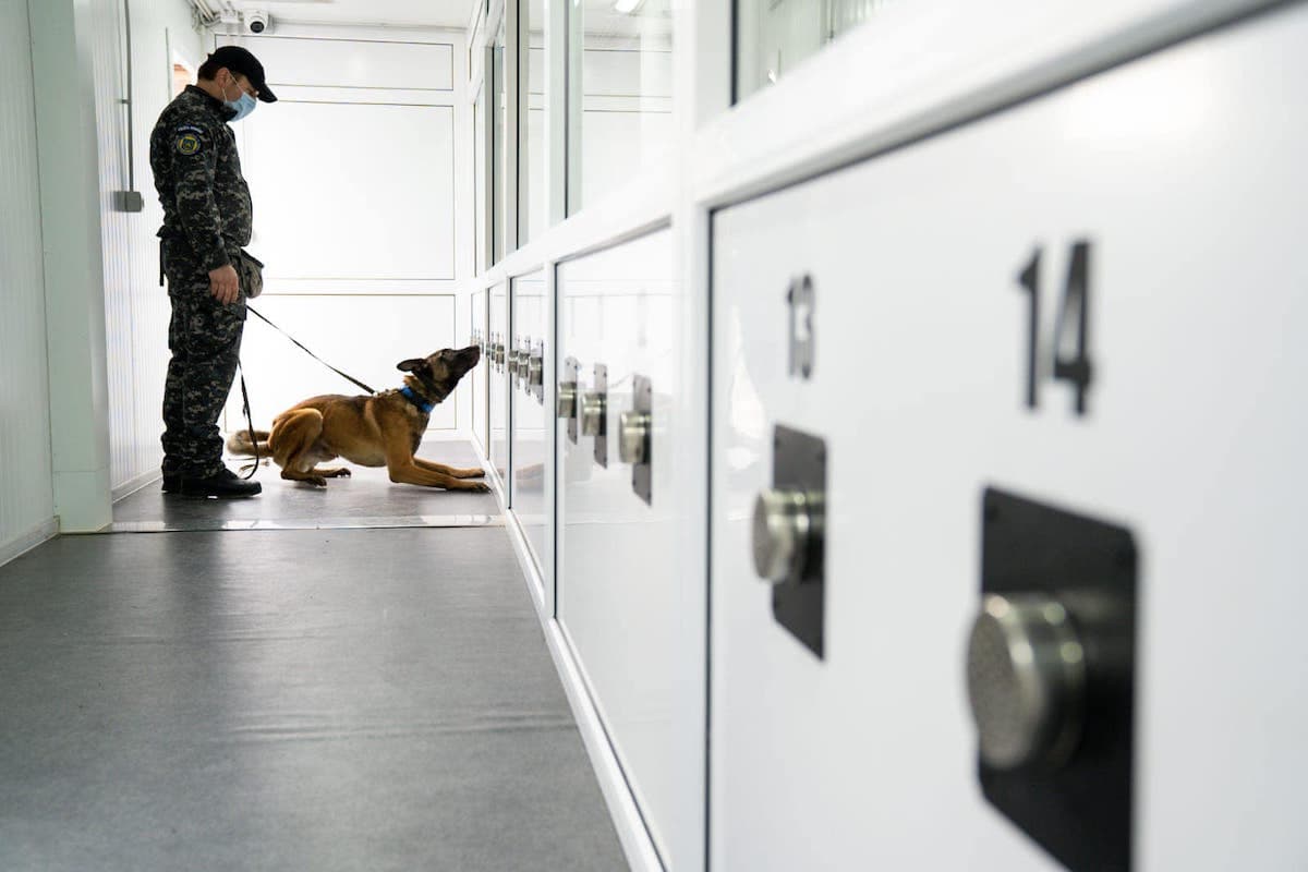 Romania’s Sibiu Airport to use dogs trained to detect COVID-19