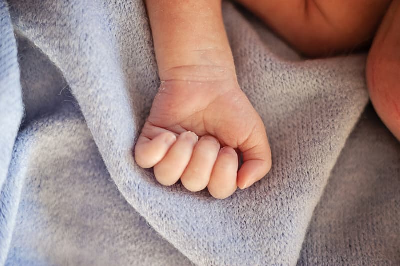 EESC's Civil Solidarity Prize: Romanian NGO supporting premature babies among winners
