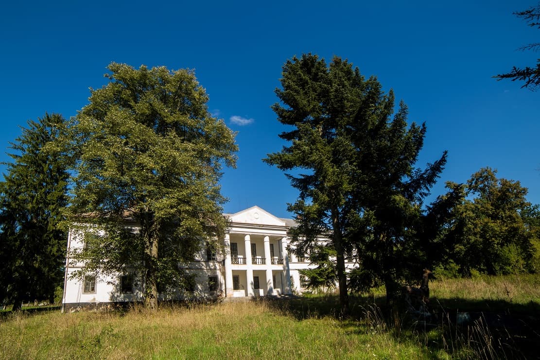Salbek Castle in western Romania up for sale