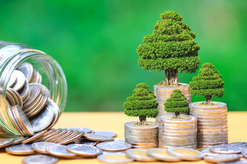 Garanti BBVA Consumer Finance launches “green” retail loans