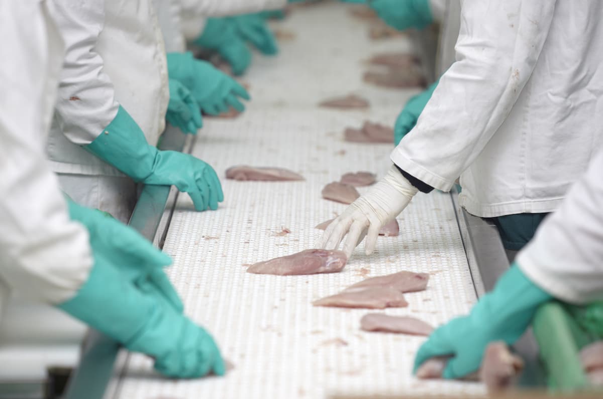 Major Romanian poultry producer Aaylex takes over rival from Brazilian multinational