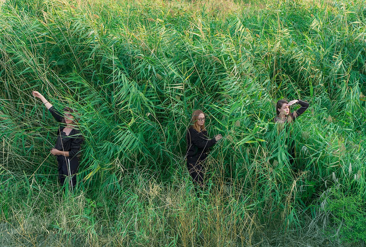Bucharest’s Văcărești Nature Park to host performances, debates