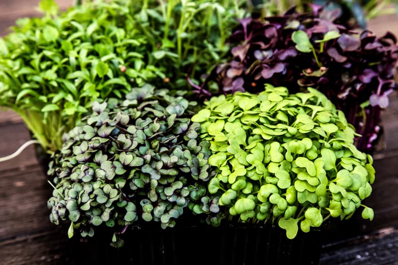 Fresh Microgreens raises EUR 0.5 mln in private placement before AeRO listing next year