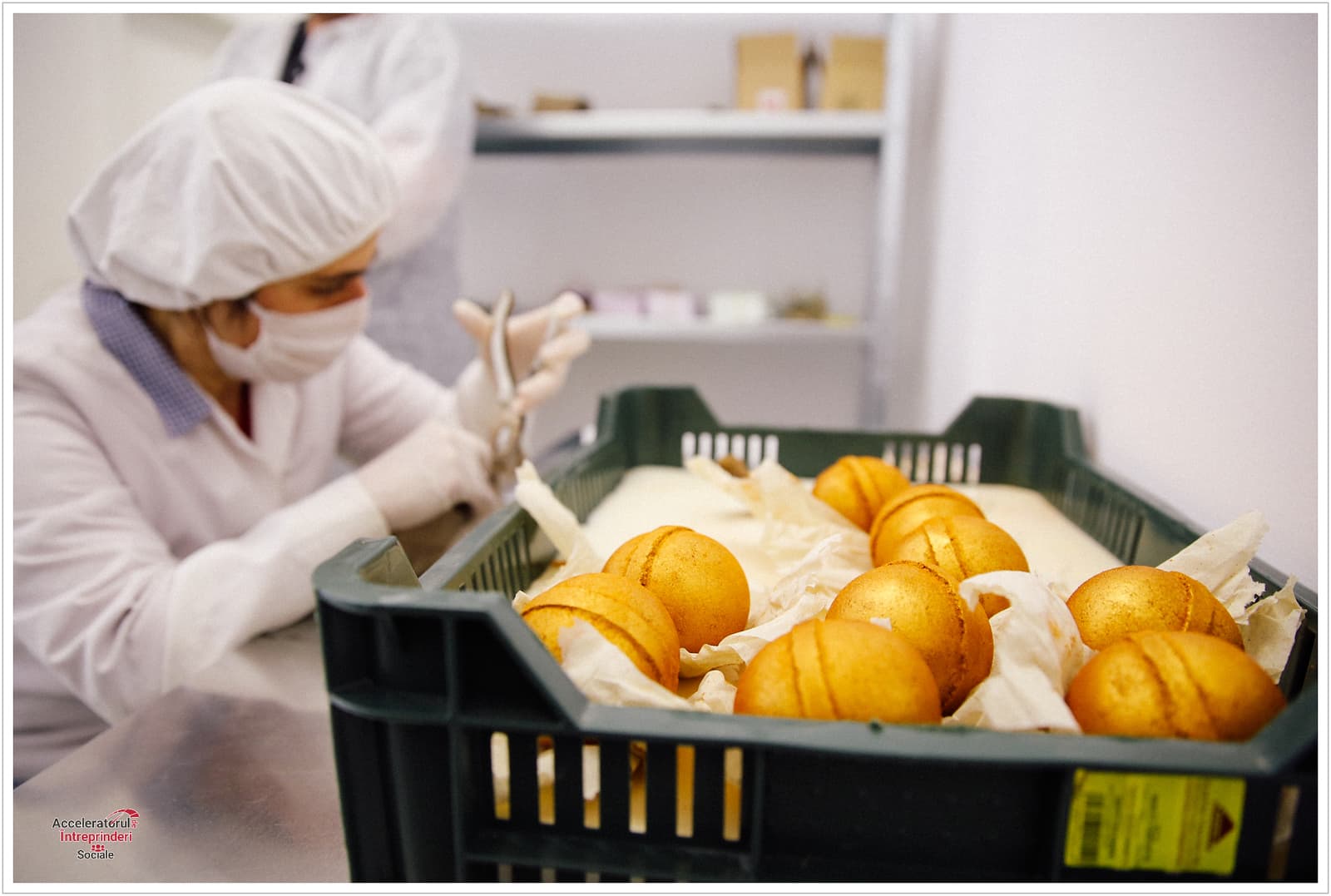 Ophori Cosmetics: How a Romanian social enterprise creates jobs for people with disabilities