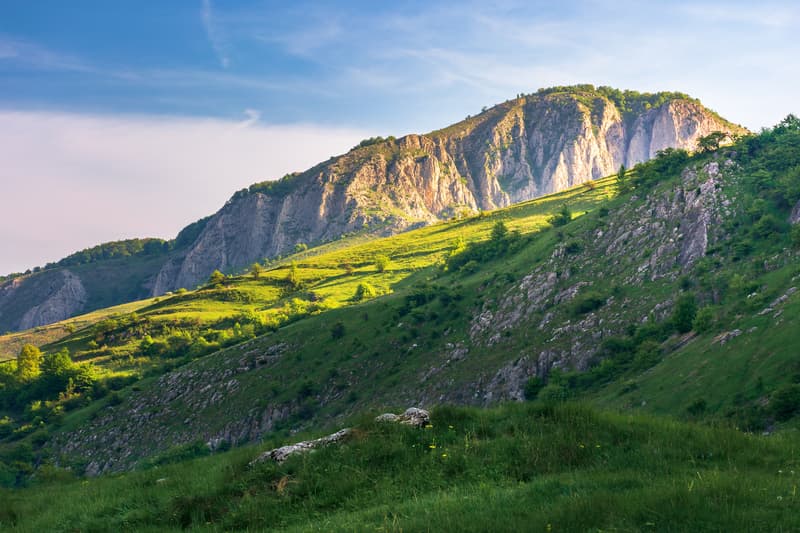 Documentaries that highlight Romania's nature & wildlife