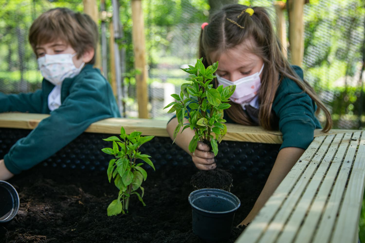 (P) Outdoor learning: A campus where nature meets nurture