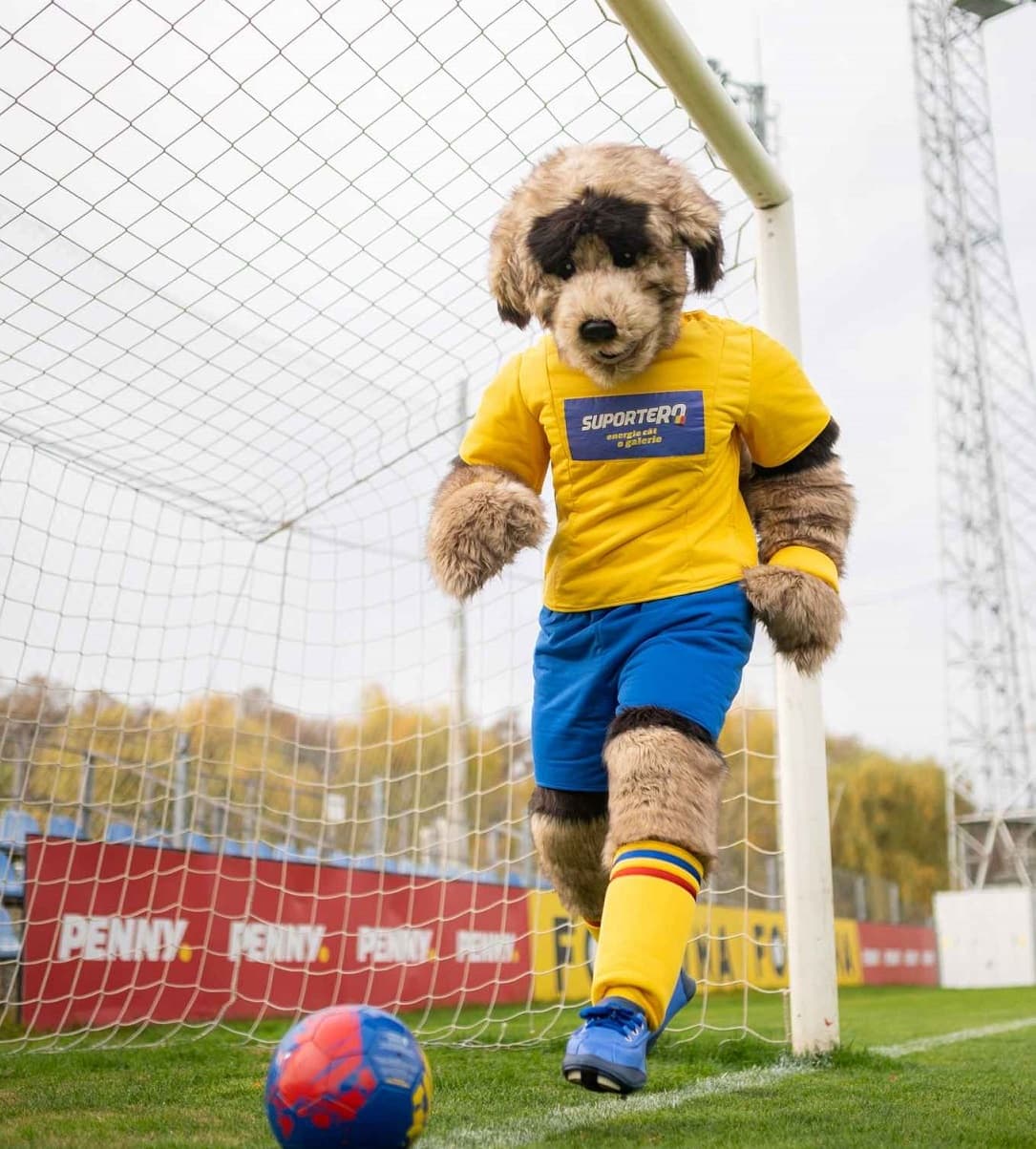 Romania photo of the day: Carpathian shepherd dog is national football team’s new mascot