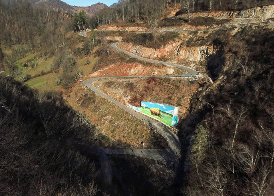 Romania photo of the day: Local artist creates mural on the Transluncani road in Timis county