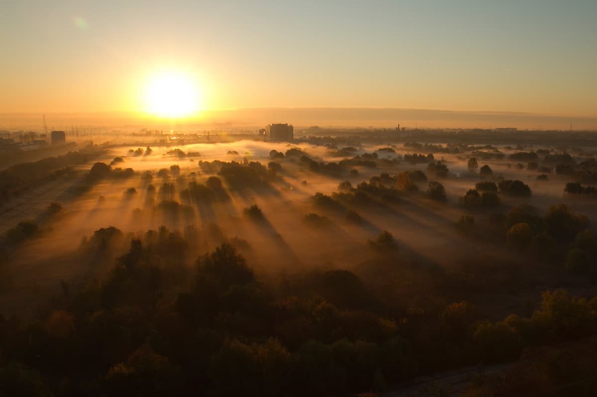 Romania photo of the day: Sun rising over Bucharest’s Văcărești Nature Park