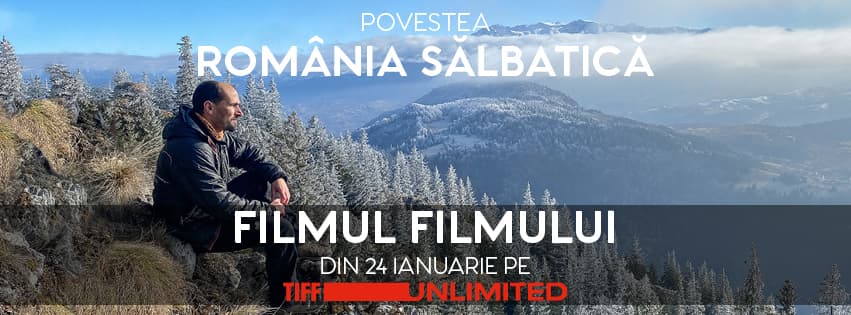 Romanian film review: Nature, Detox, and French cinema: Currently showing online & offline