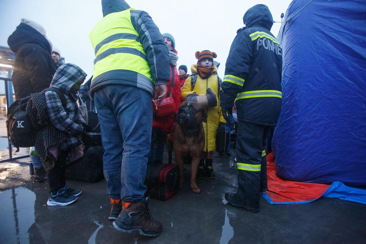 Weekly overview in pictures: Ukrainian citizens find refuge in Romania | President meets top officials and visits military base