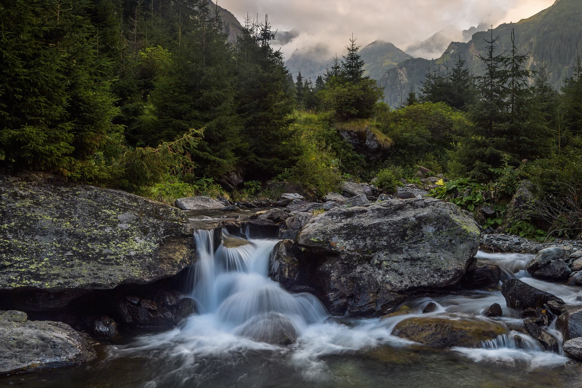 New app helps users discover Romania’s nature and wildlife