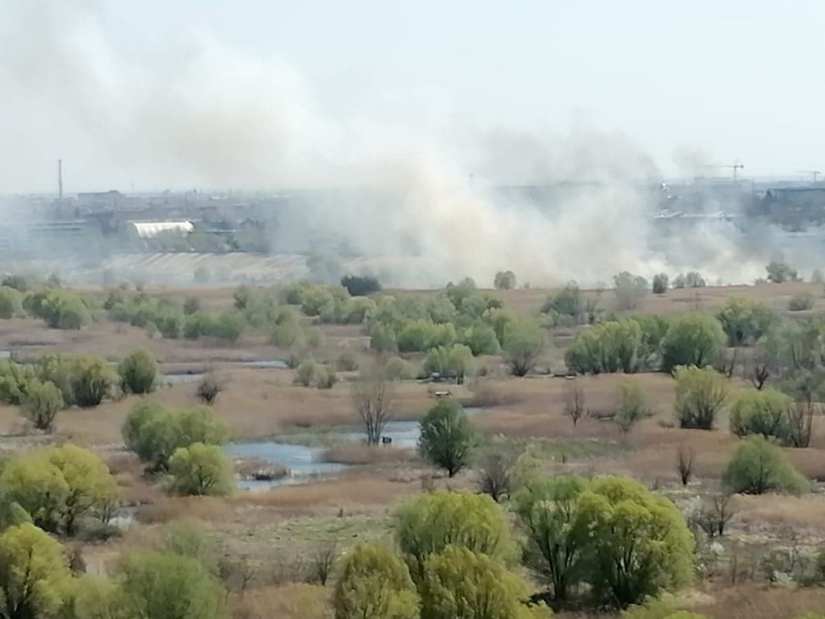 Major fire burns part of Vacaresti Delta in Bucharest