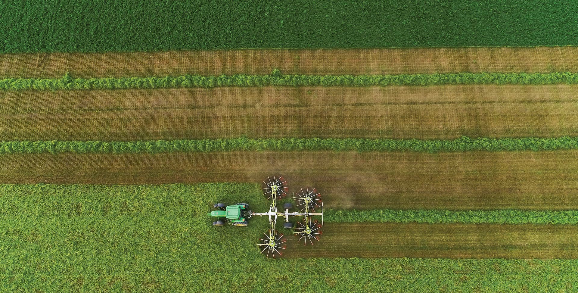 Biggest farm in Romania sees record profit in 2021