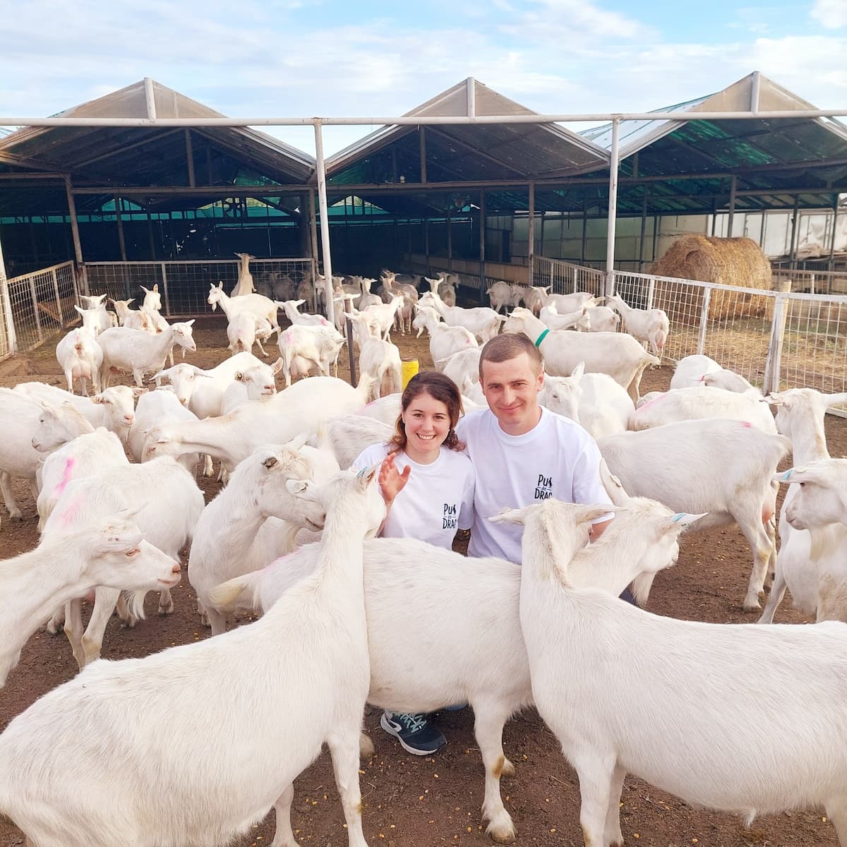 Back home: Two young Romanians leave Italy to be farmers in Romania and grow their own business