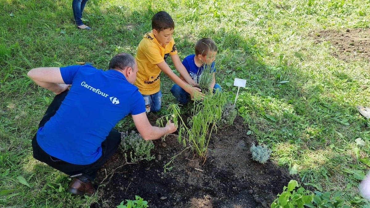 Carrefour and FARA Foundation set up second therapeutic garden for people with disabilities in Suceava