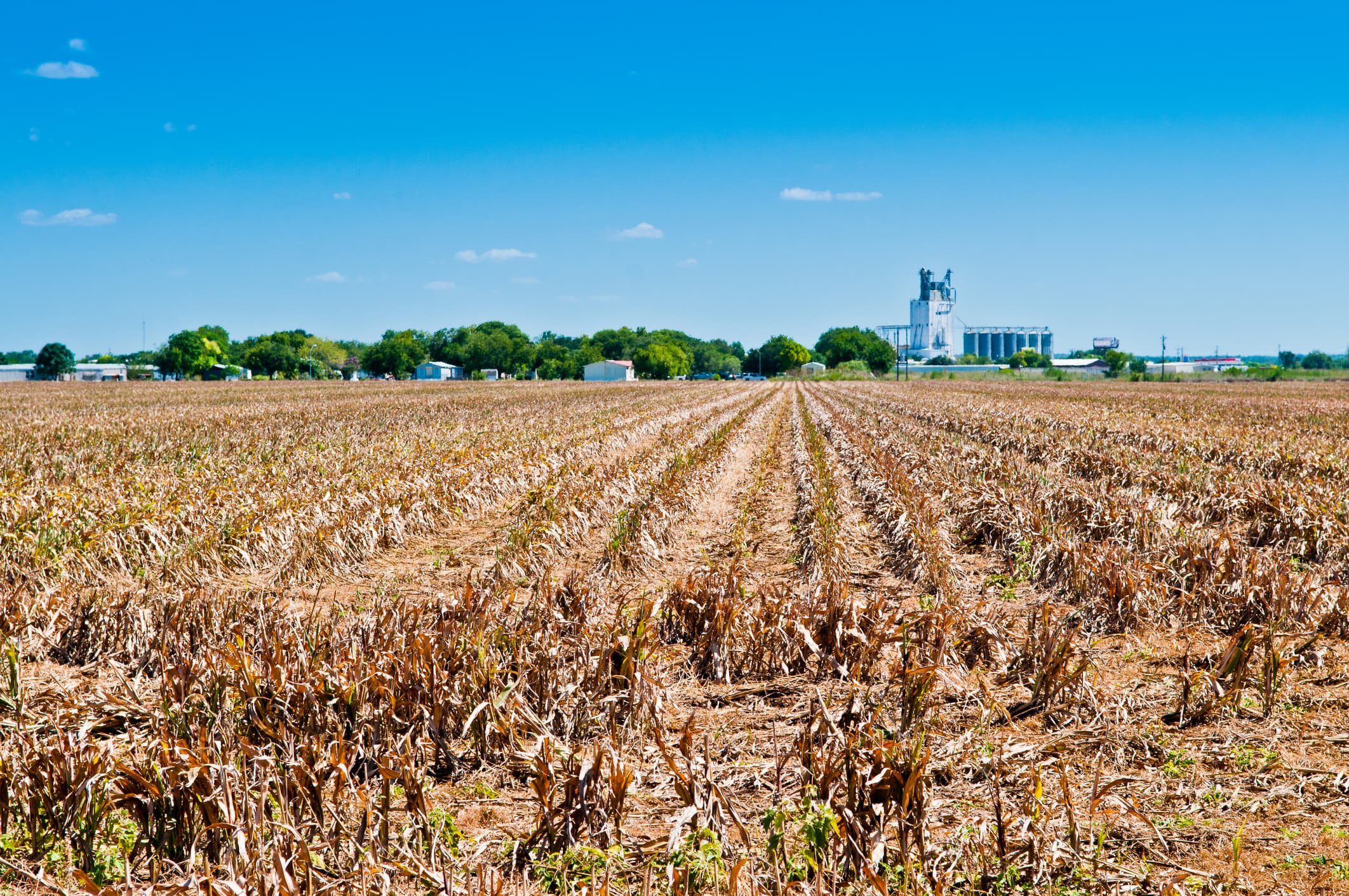 Romanian water authority recommends “rational use” of water due to drought