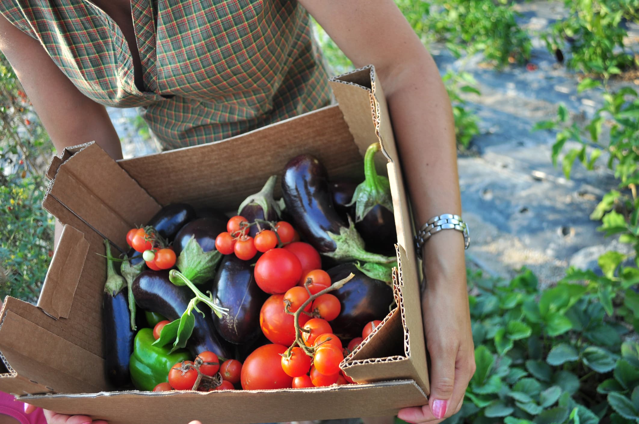Romanians spend over 50 times less on organic food than EU average