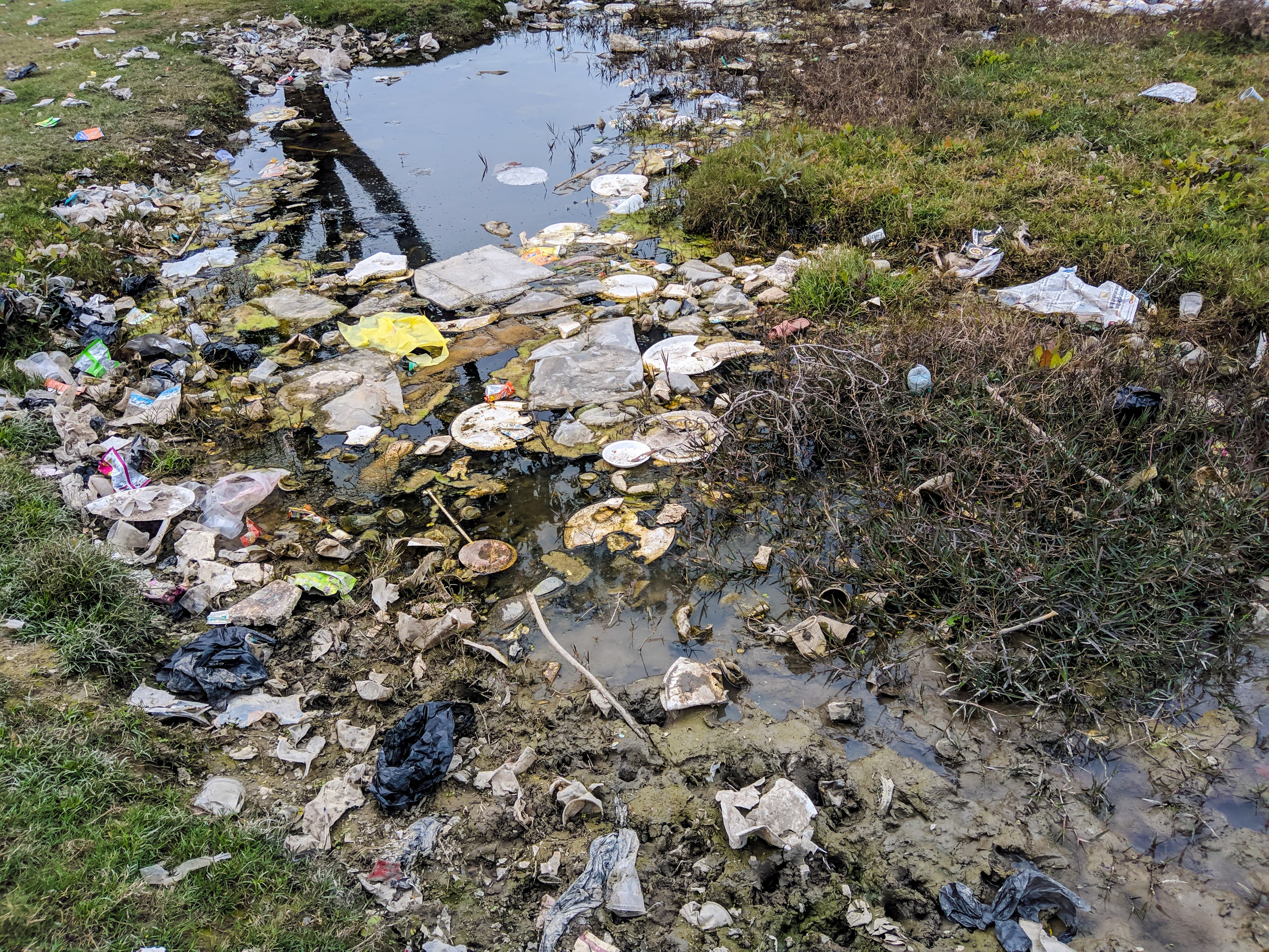 Plastic bags falsely marked as biodegradable said to be polluting Romania