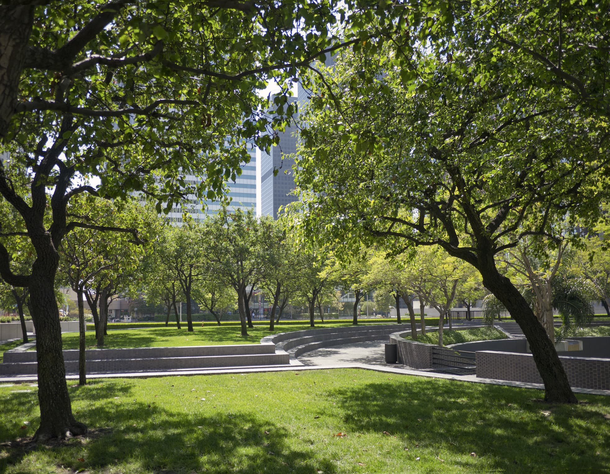 The Bucharest Community Foundation is funding new green projects in Bucharest