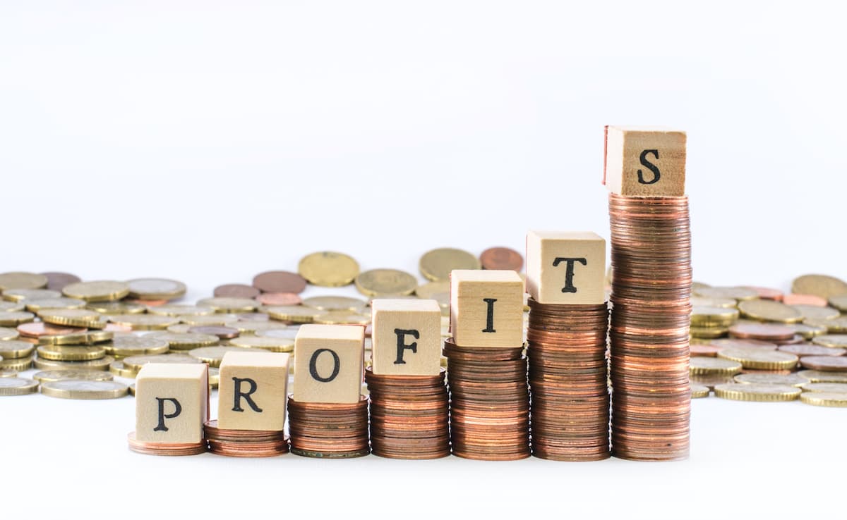 Which are the most profitable companies in Romania?
