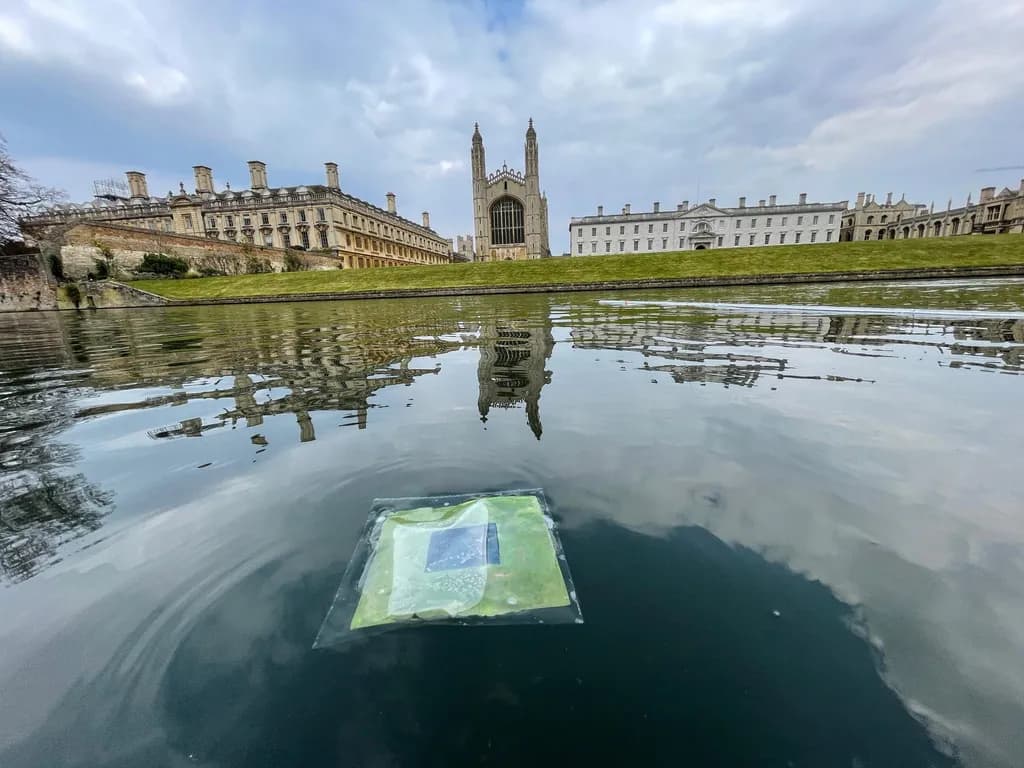 A Romanian researcher is part of the team of Cambridge researchers that invented artificial fuel-producing leaves