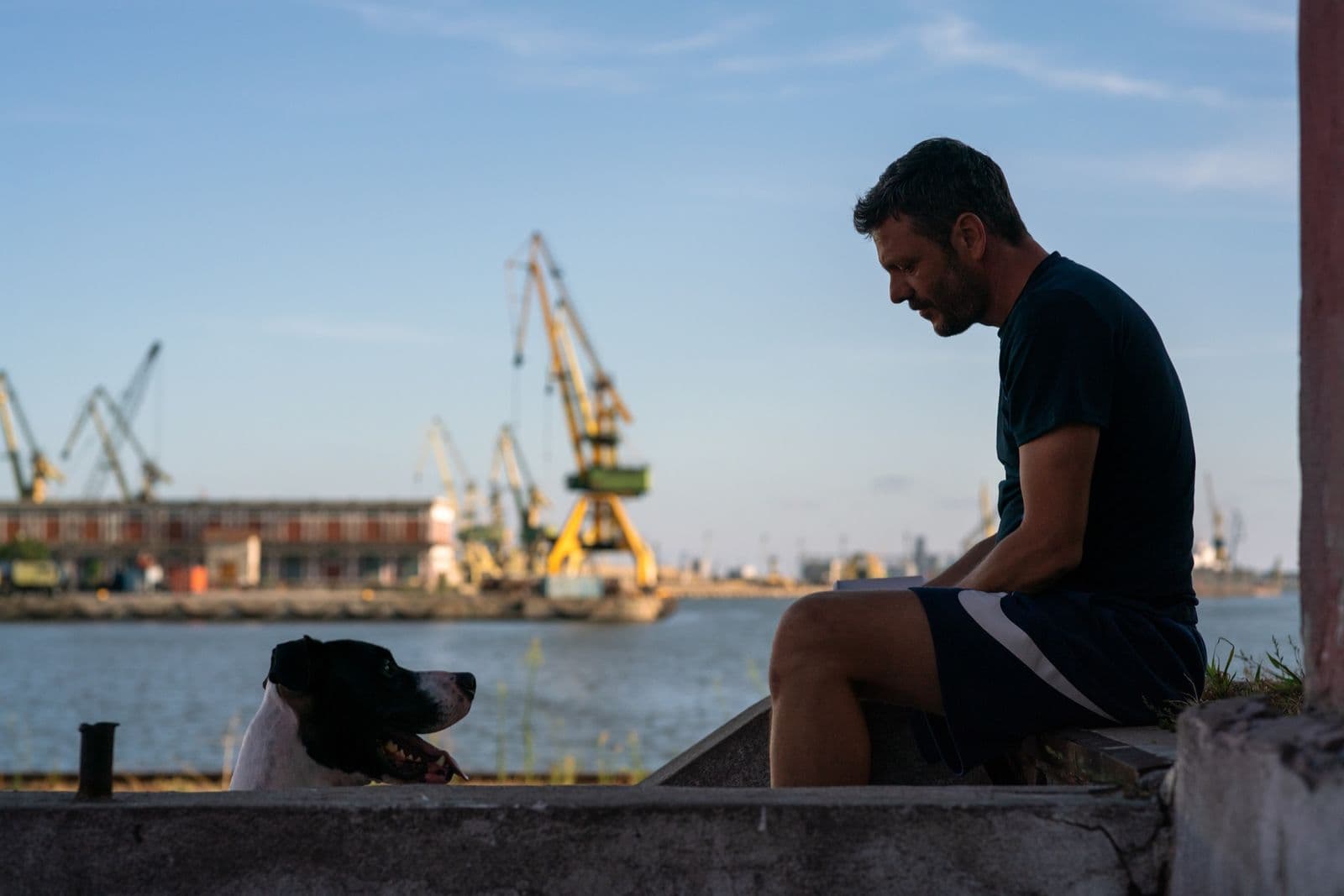 Romanian film review – Man and Dog & Bucharest Interational Experimental Film Fest