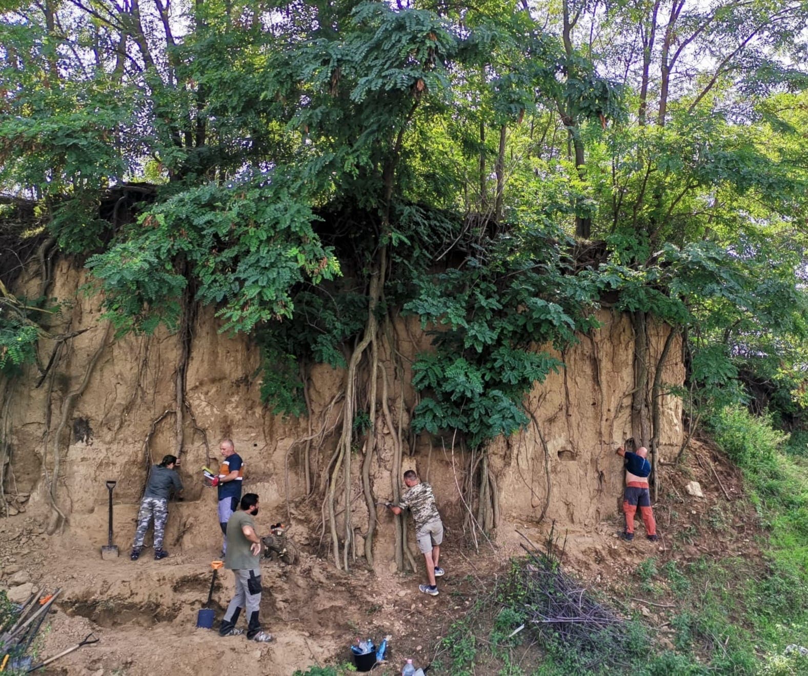 Unique paleolithic discovery made in Vrancea