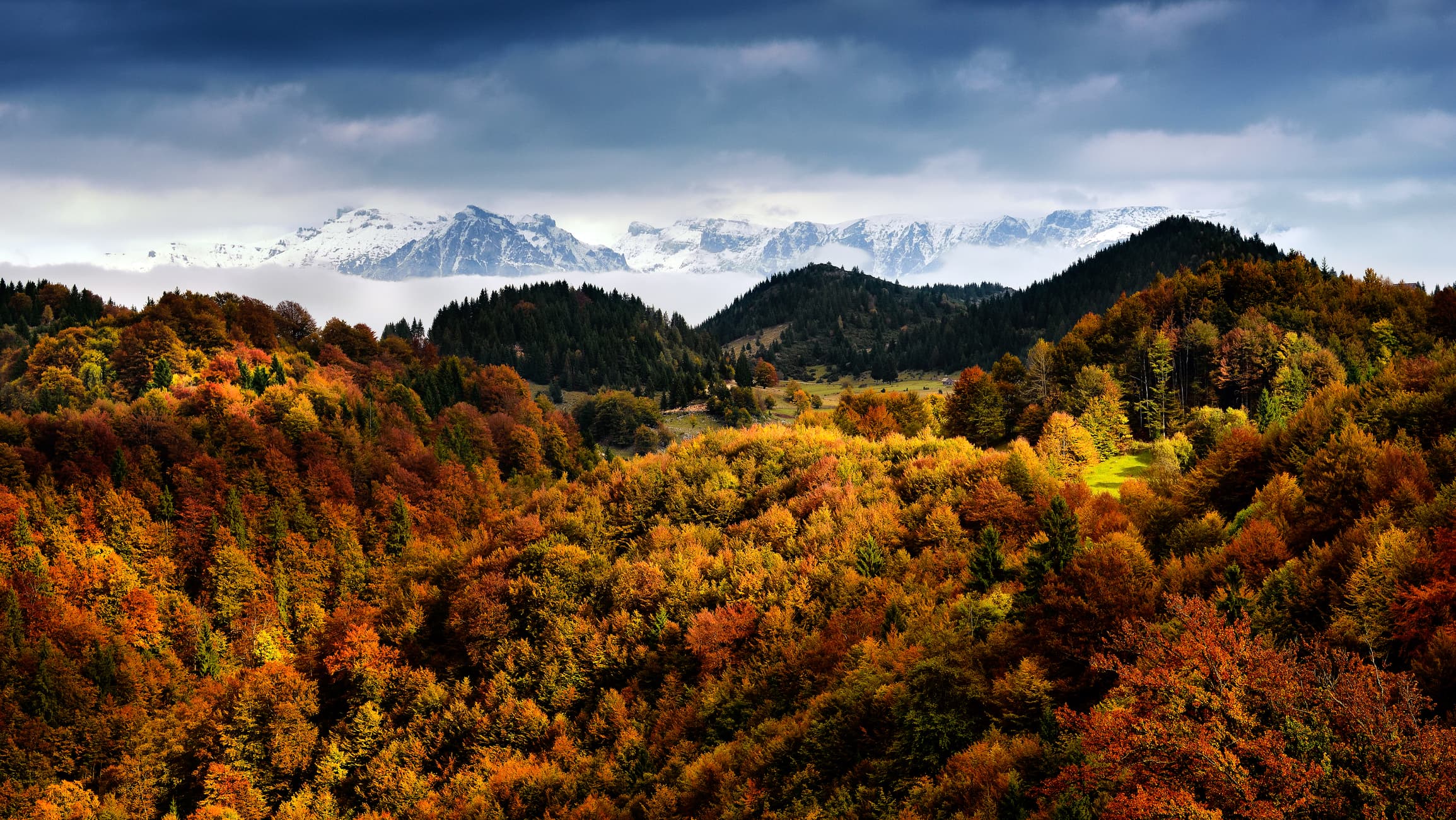 Romania Photo of the Day by Dreamstime: Carpathian Mountains in autumn colors