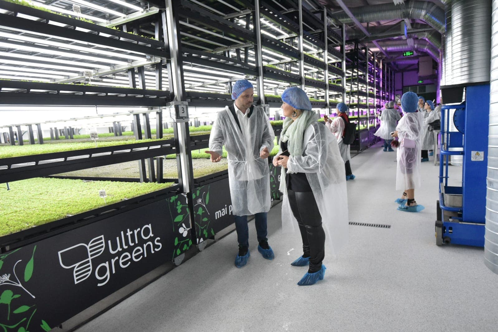 Kaufland and Ultragreens open the first vertically integrated greenhouse in Romania