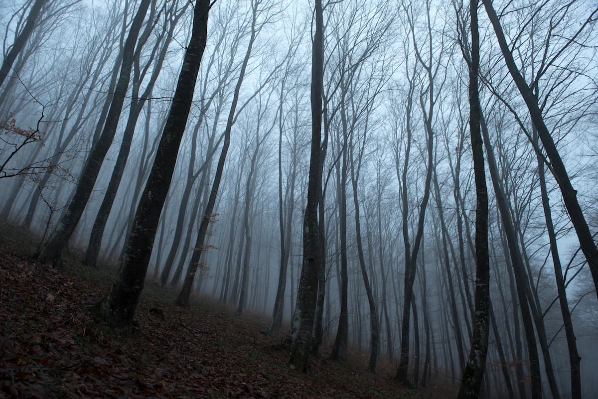 Halloween destinations: Transylvania and Bucharest listed among most haunted places to visit in Europe