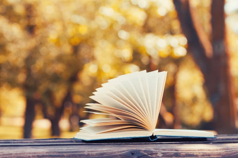 Romania's National Day: Books to consider for the upcoming break