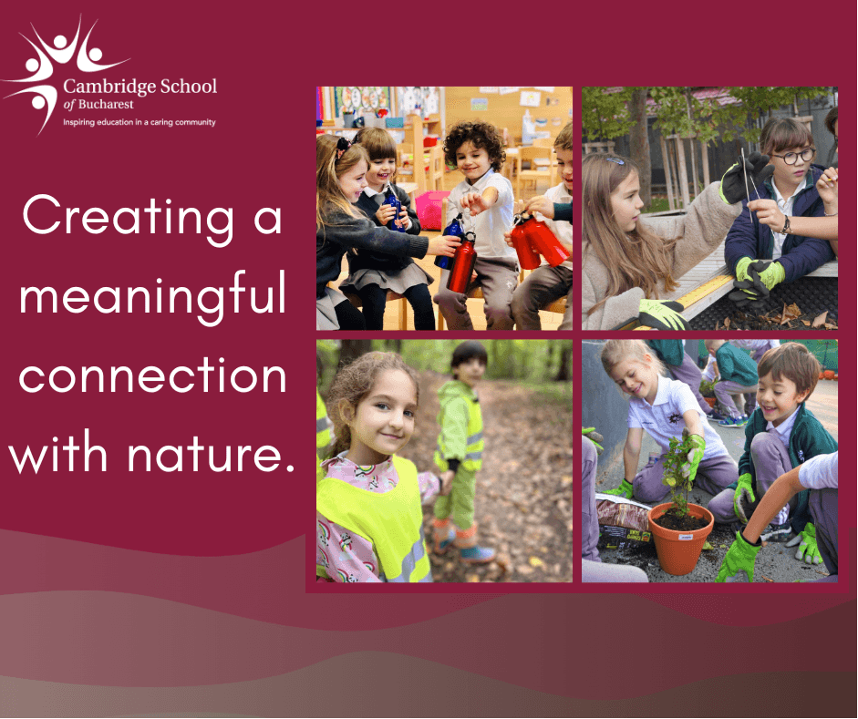 (P) The Importance of Environmental Education in Today’s World
