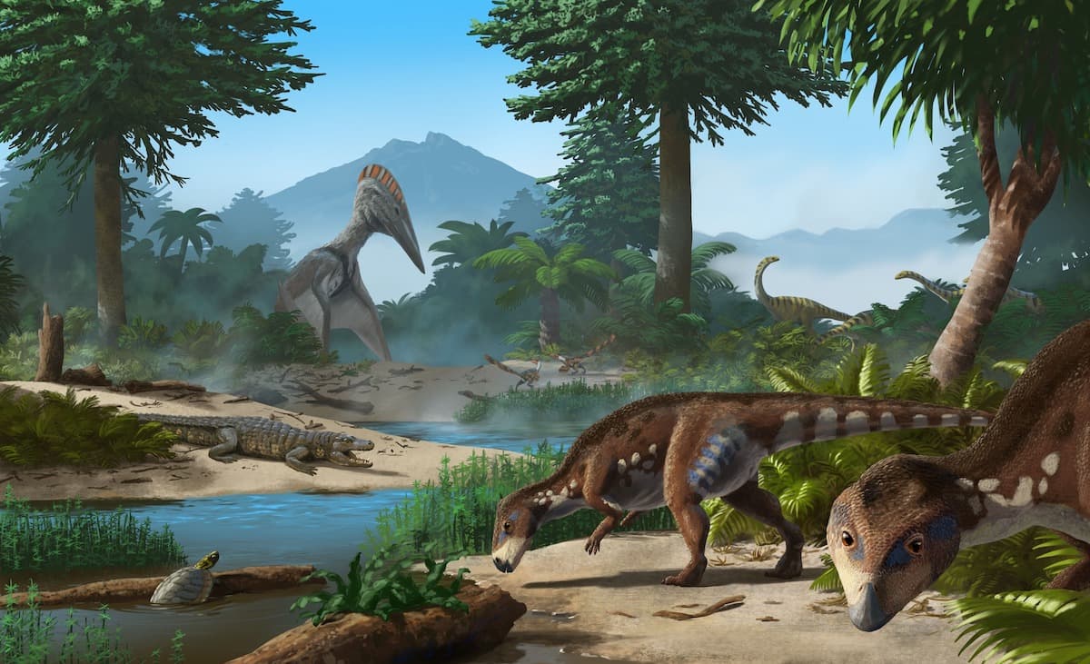 Paleontologists discover new species of dinosaur in Romania’s Hațeg region