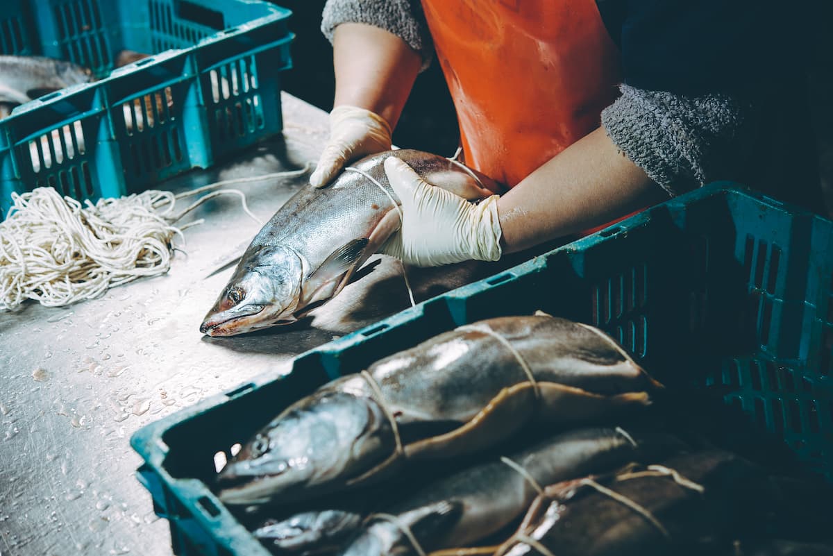 EU gives Romania EUR 162 mln to implement sustainable fishery policy